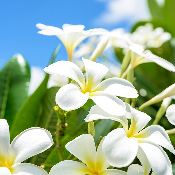 【梅田店】口コミレビュ―　2022年11月