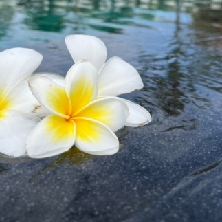 バリニーズマッサージの魅力No.4