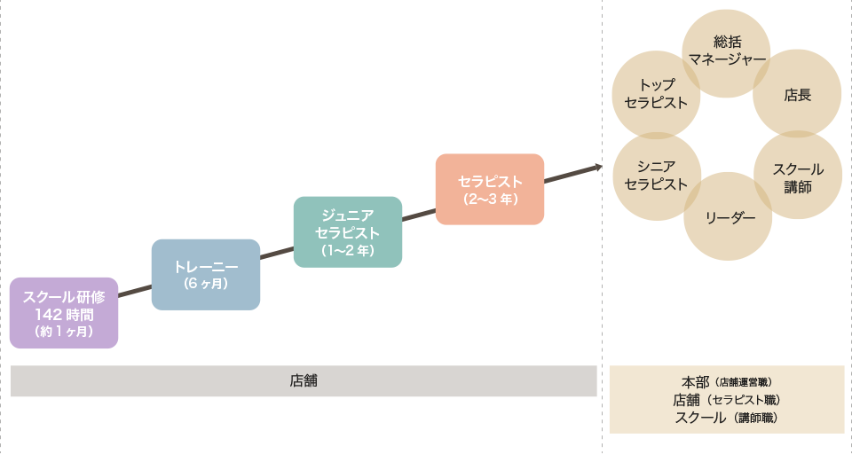 スクール研修142時間（約1ヶ月）・トレーニー（6ヶ月）・ジュニアセラピスト（1～2年）・セラピスト（2～3年）